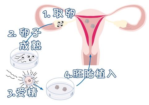医疗团队